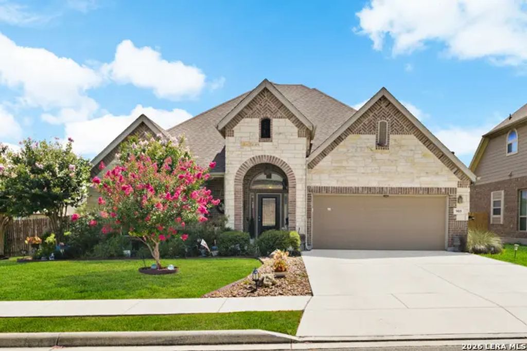 905 Alpino, Cibolo