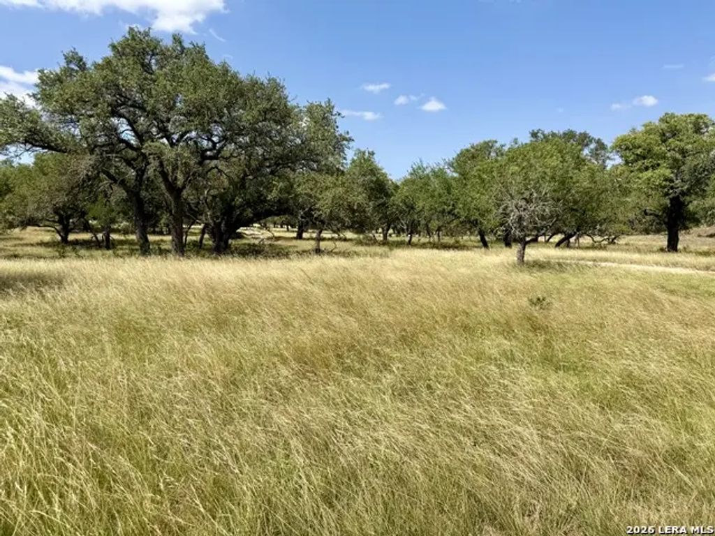 43 Acres Sattler Rd., Spring Branch