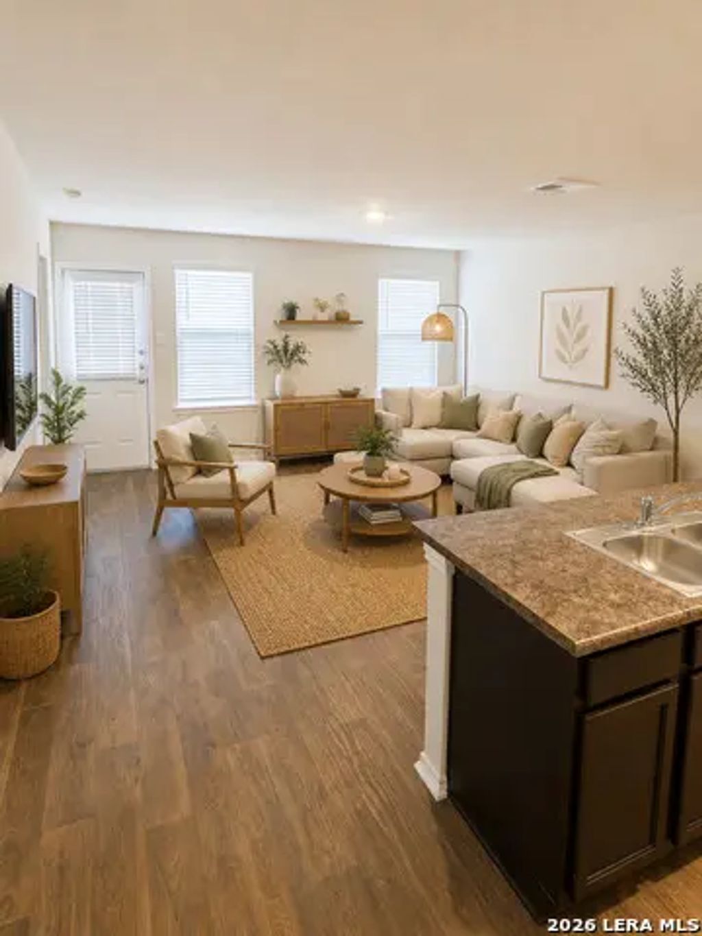 104 Black Scoter, San Antonio