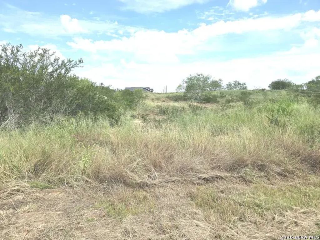 115 County Road 2666, Devine