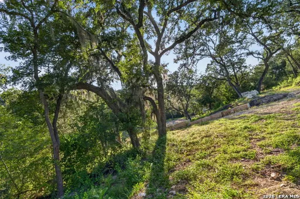 449 Shepherds Crook, Helotes
