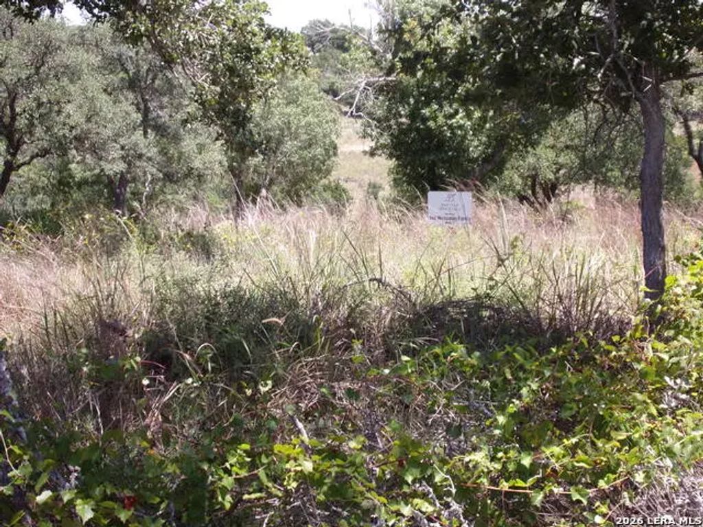 Tbd E Twisted Oak Trail, Blanco