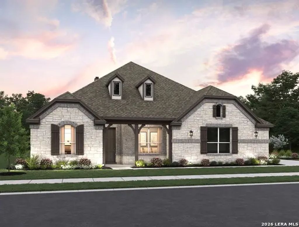 1146 Cape May Warbler, New Braunfels