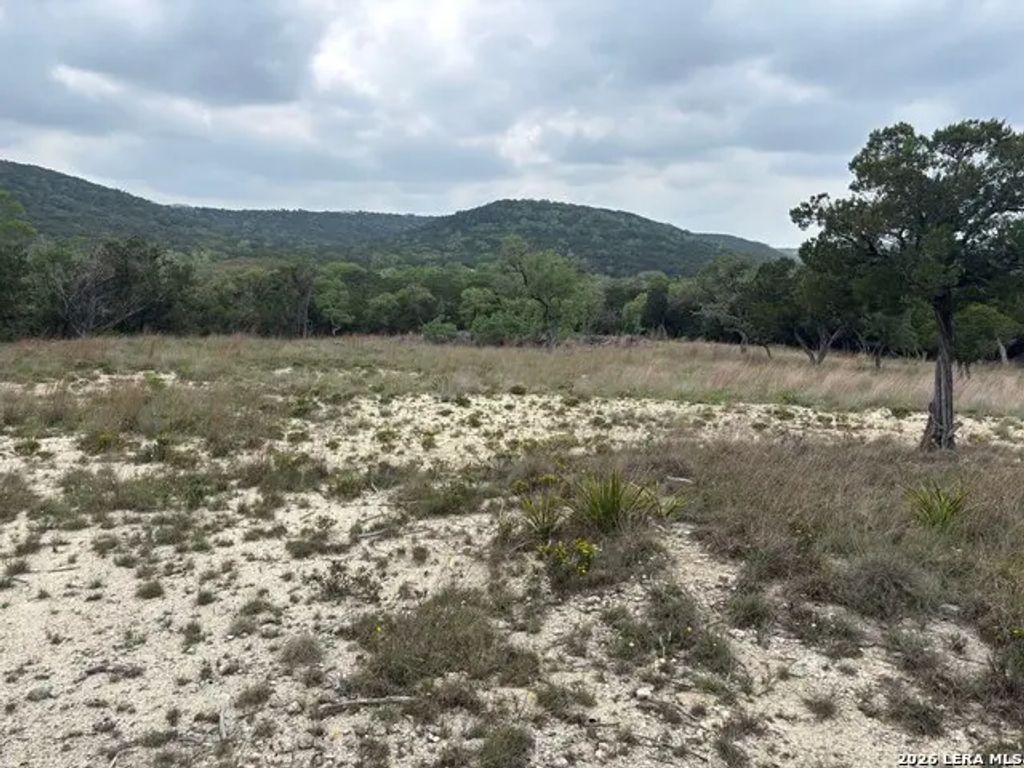 595 Canyon Frst, Helotes