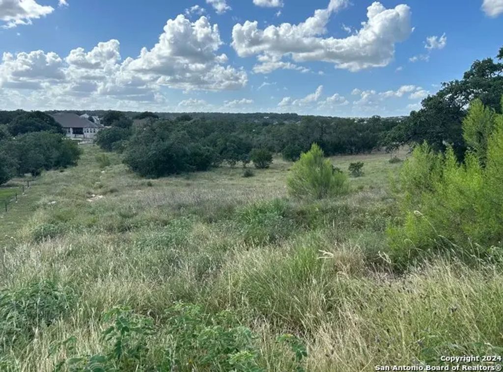 1728 Chardonnay, New Braunfels