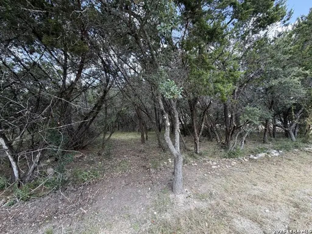 180 Rosenberry, Bulverde