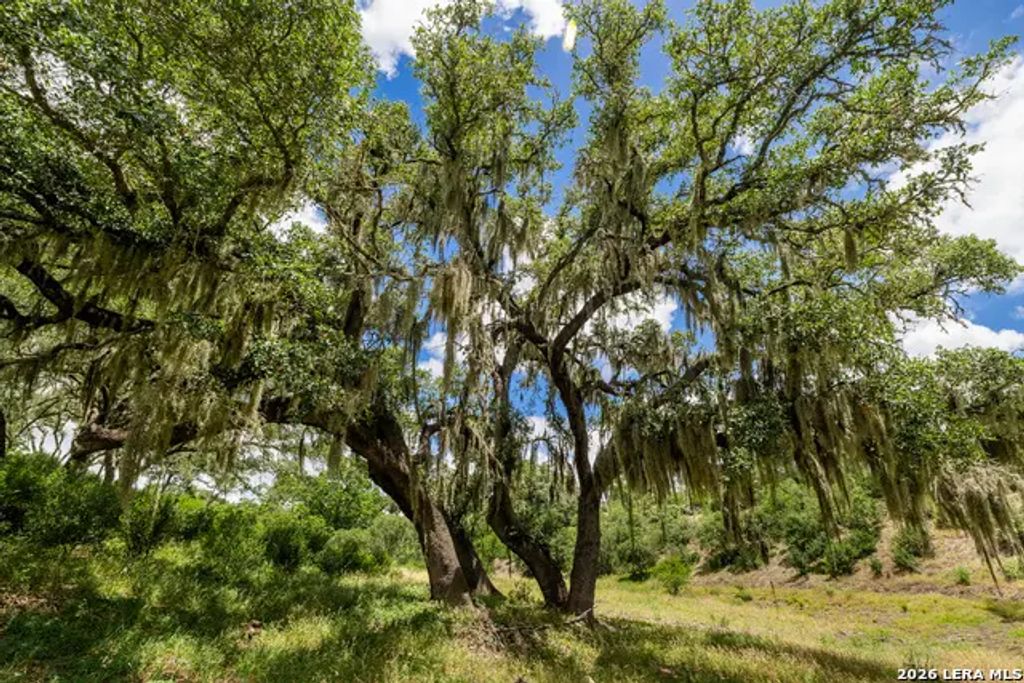 0007 Hidden Springs Ranch, Spring Branch