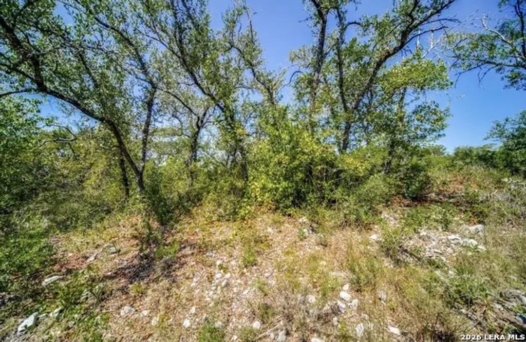 10026 Ivory Cyn, San Antonio