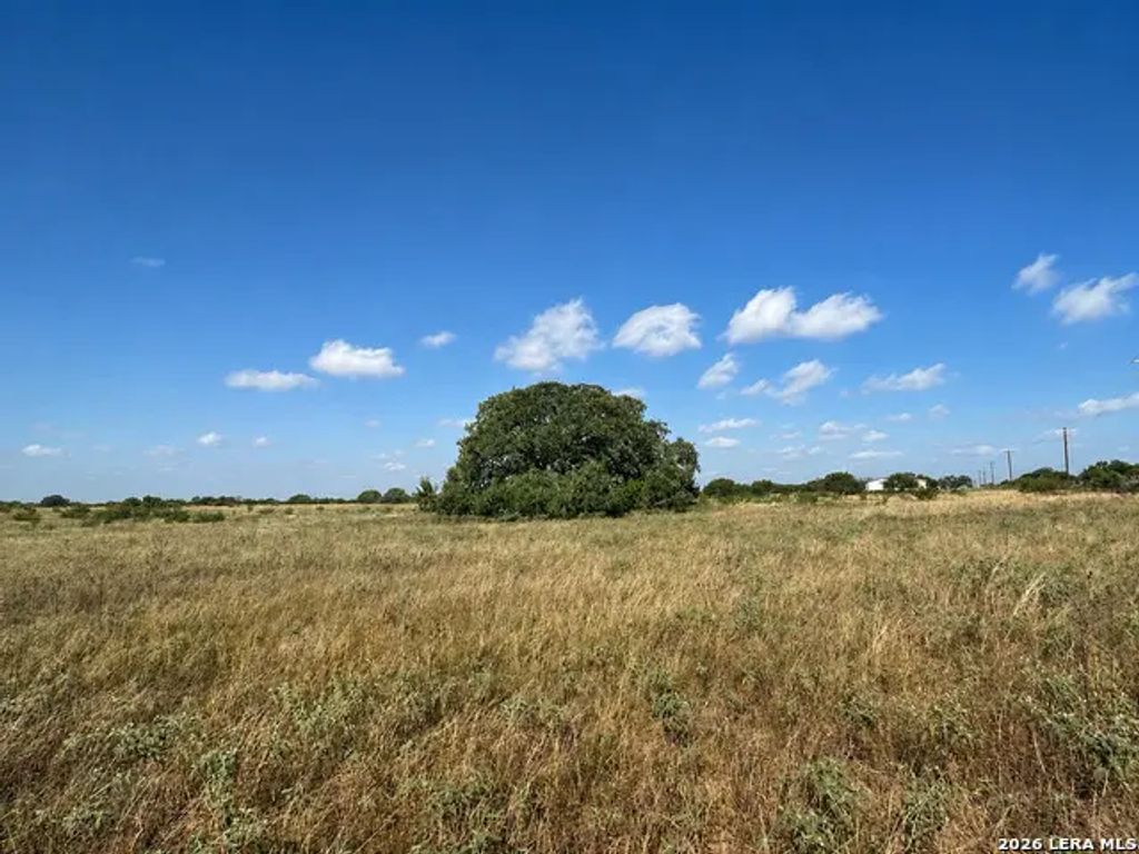 Fm 1333, Poteet