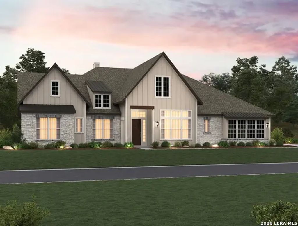 1153 Cape May Warbler, New Braunfels
