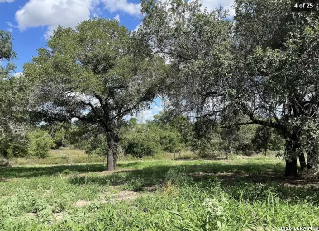 497 County Road 124, Floresville