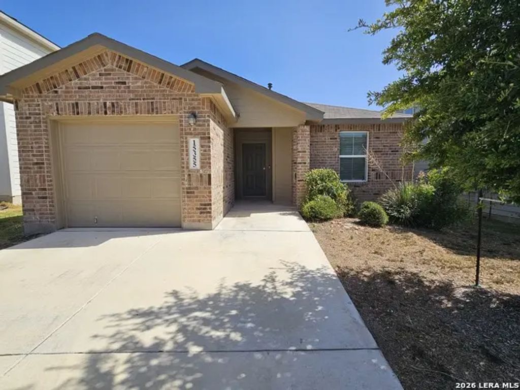 15355 Brown Violetear, San Antonio
