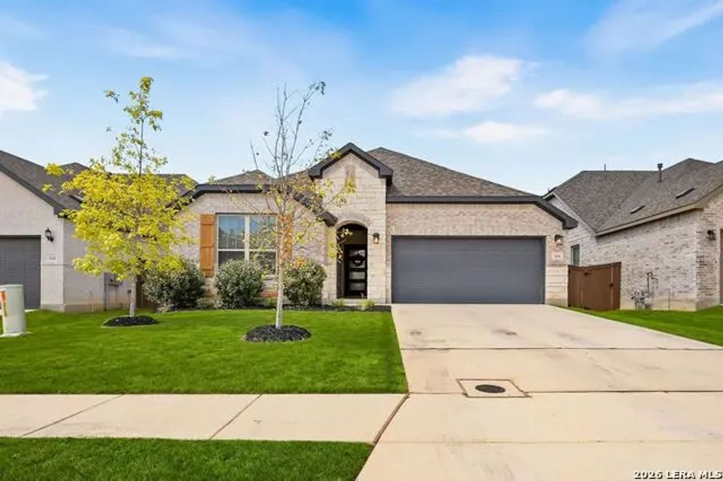 118 Trotting Horse, Boerne