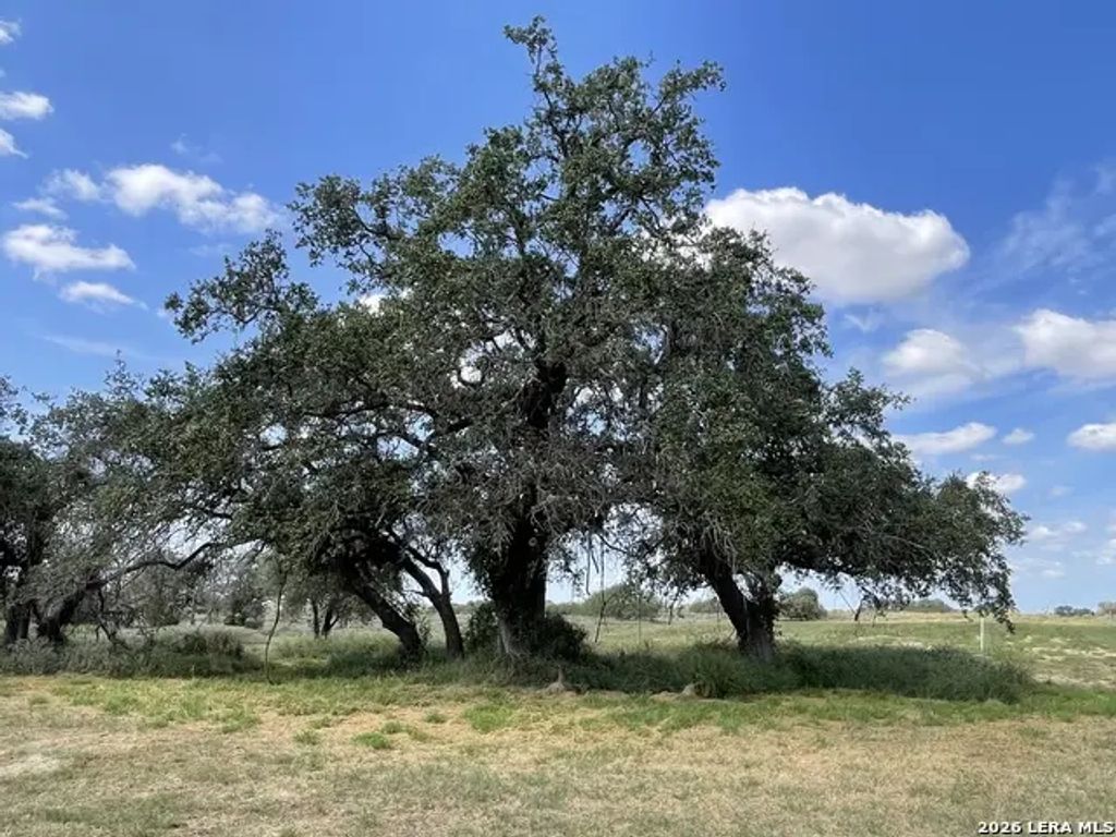 275 County Road 331, Floresville