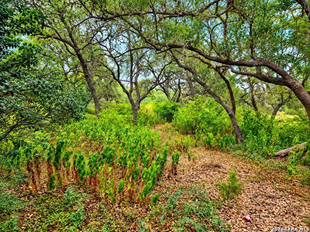 22334 Scenic Loop Rd, San Antonio