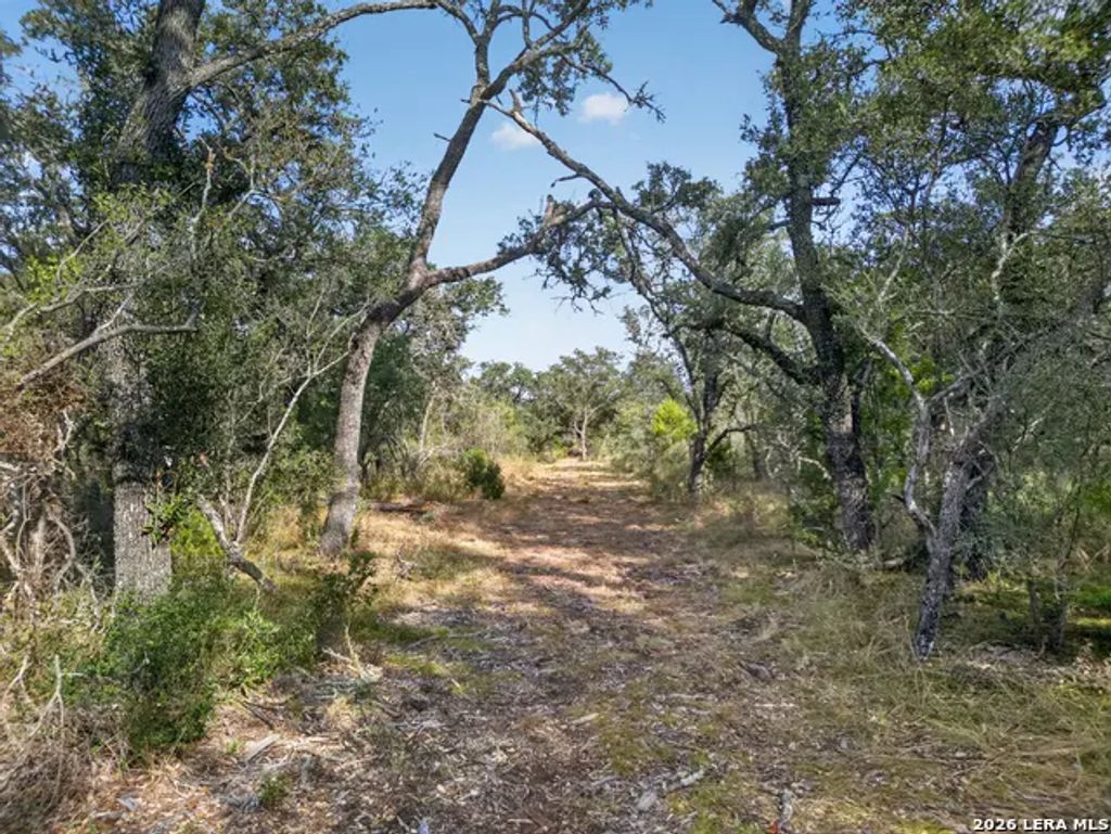 Lots 19 & 20 1796 Ranch, Dhanis