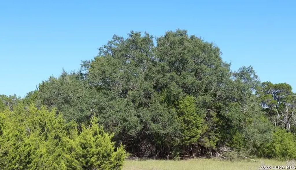 Tbd 50 Acres Wharton Dock Rd, Bandera