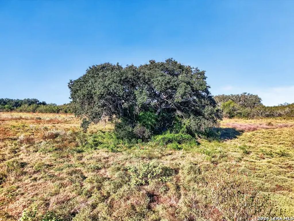 Lot 134 Fm 1796, Dhanis
