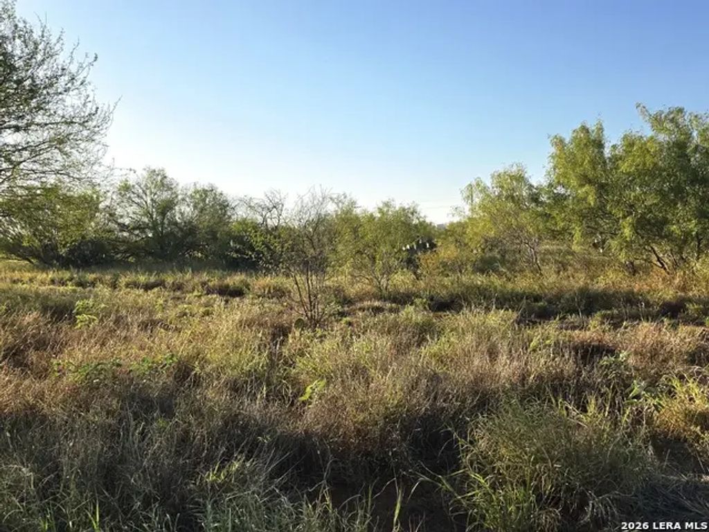 American, Cotulla