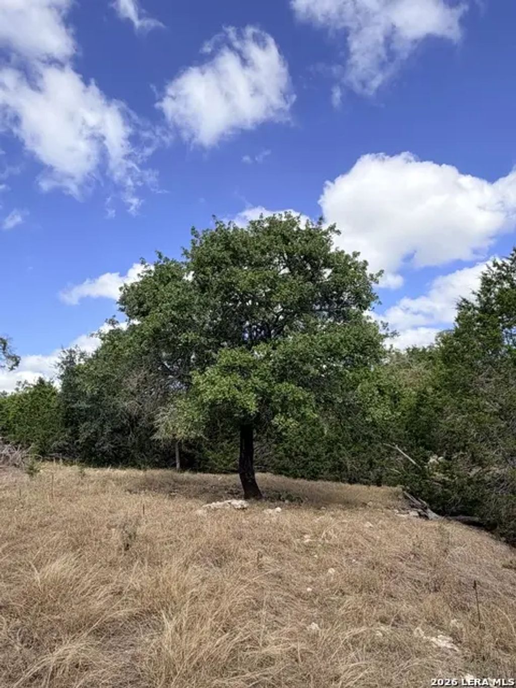 Vanguard Ridge Rd, Fredericksburg