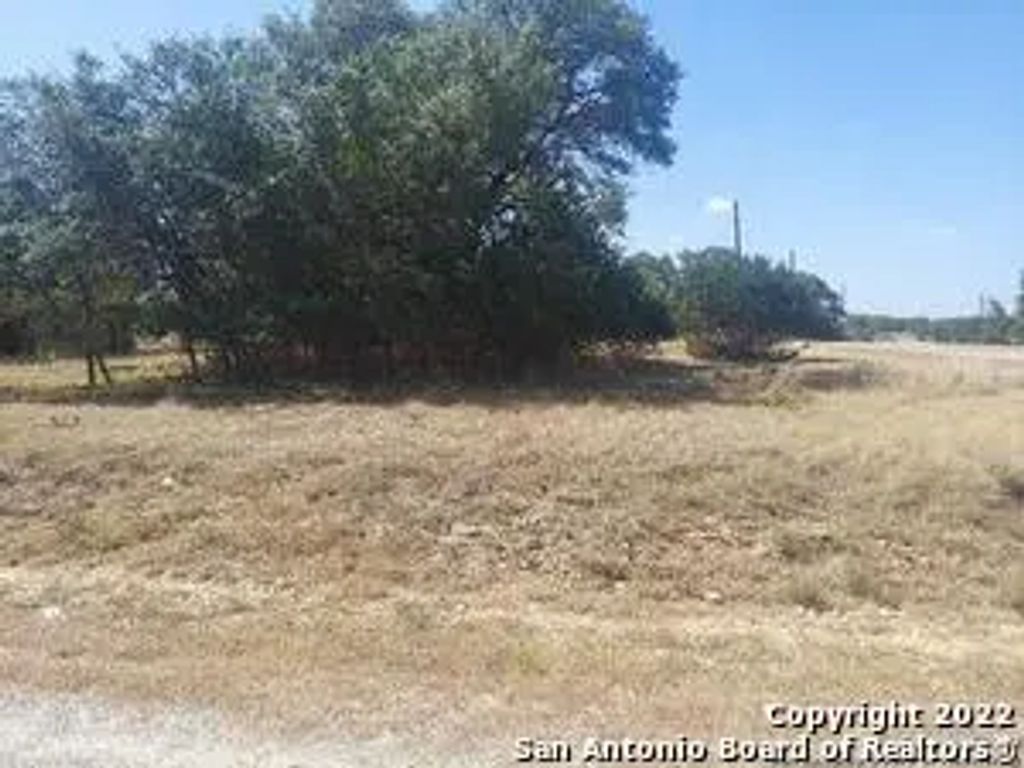 Lot 448 Williams Wood, Blanco