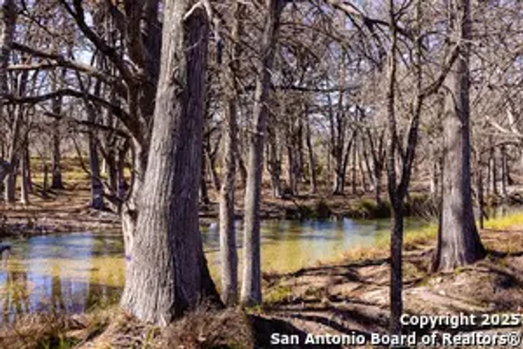 2400 Little Dry Frio Road, Leakey
