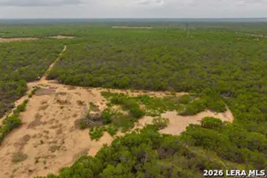 12 Fm 1581, Pearsall