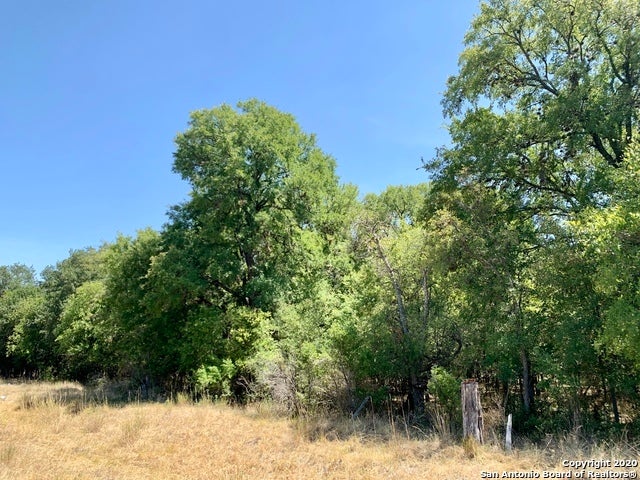 12100 Orsinger Ln, San Antonio