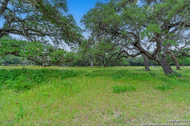 School St & San Antonio, Boerne