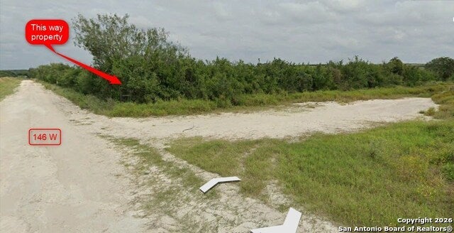 00 Blackbrush, George West