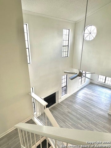 2255 Thousand Oaks #810, San Antonio