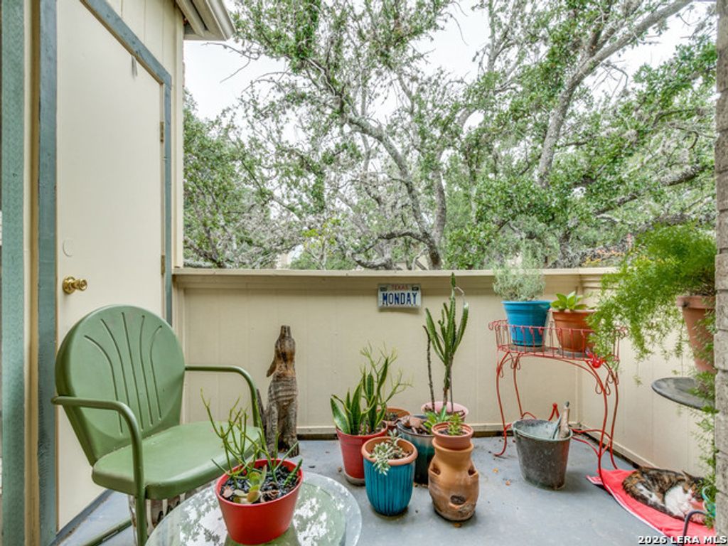 11843 Braesview 716, San Antonio