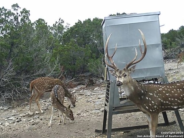 Tbd West Nueces Ranch, Lot 20, Rocksprings