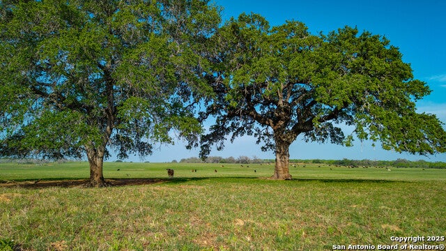 Tbd County Road 404, Floresville