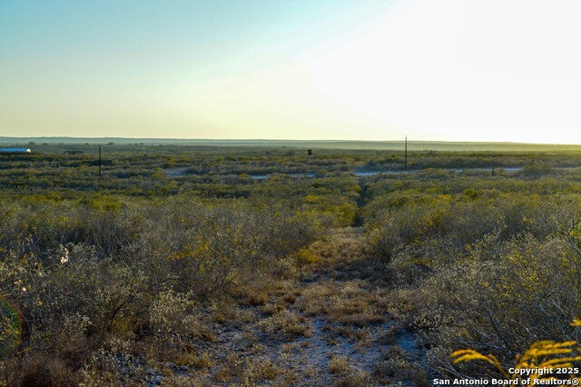 Tbd Live Oak Spur, George West