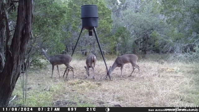 890 County Road 246, Hondo