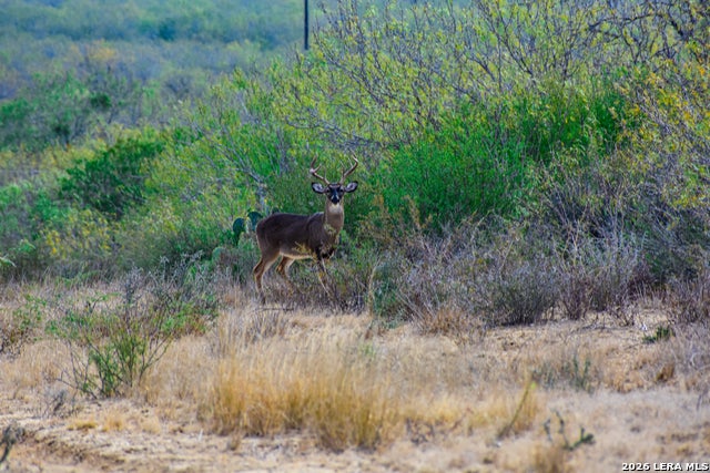 000 Easement Road, Laredo