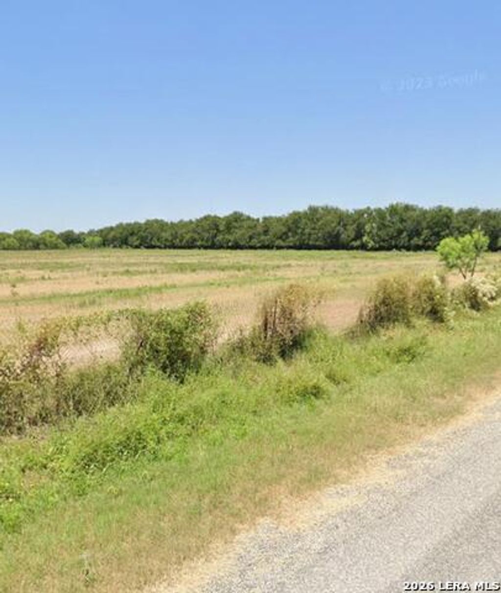 1288 Brown, Quemado