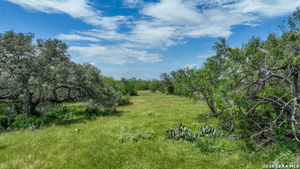 2880 Cr 307, Jourdanton
