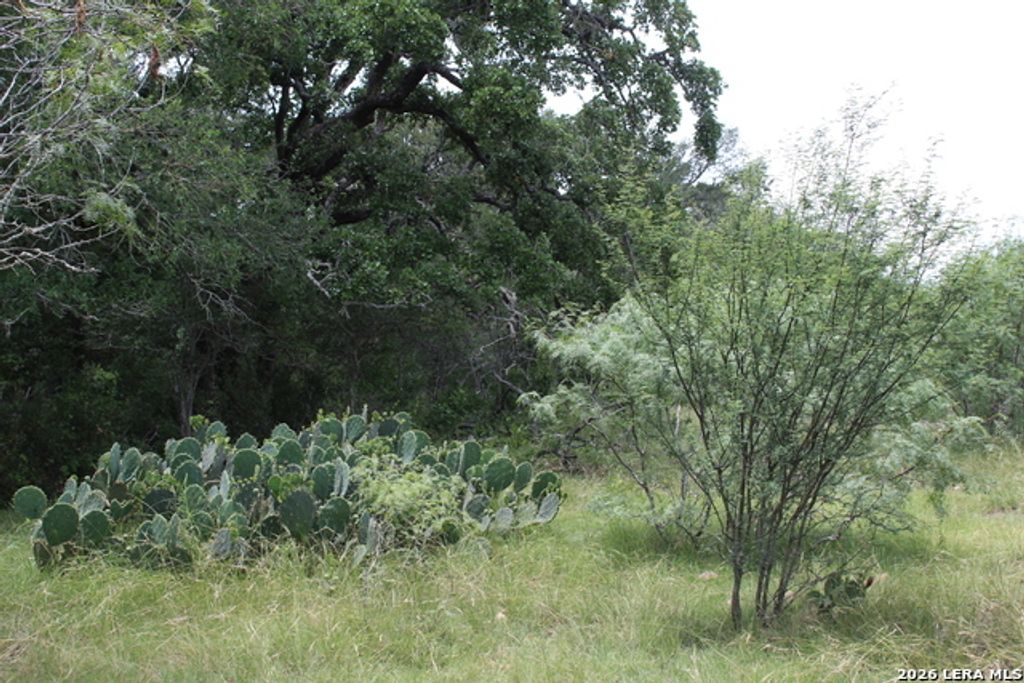 Tbd Fm 3353, Seguin