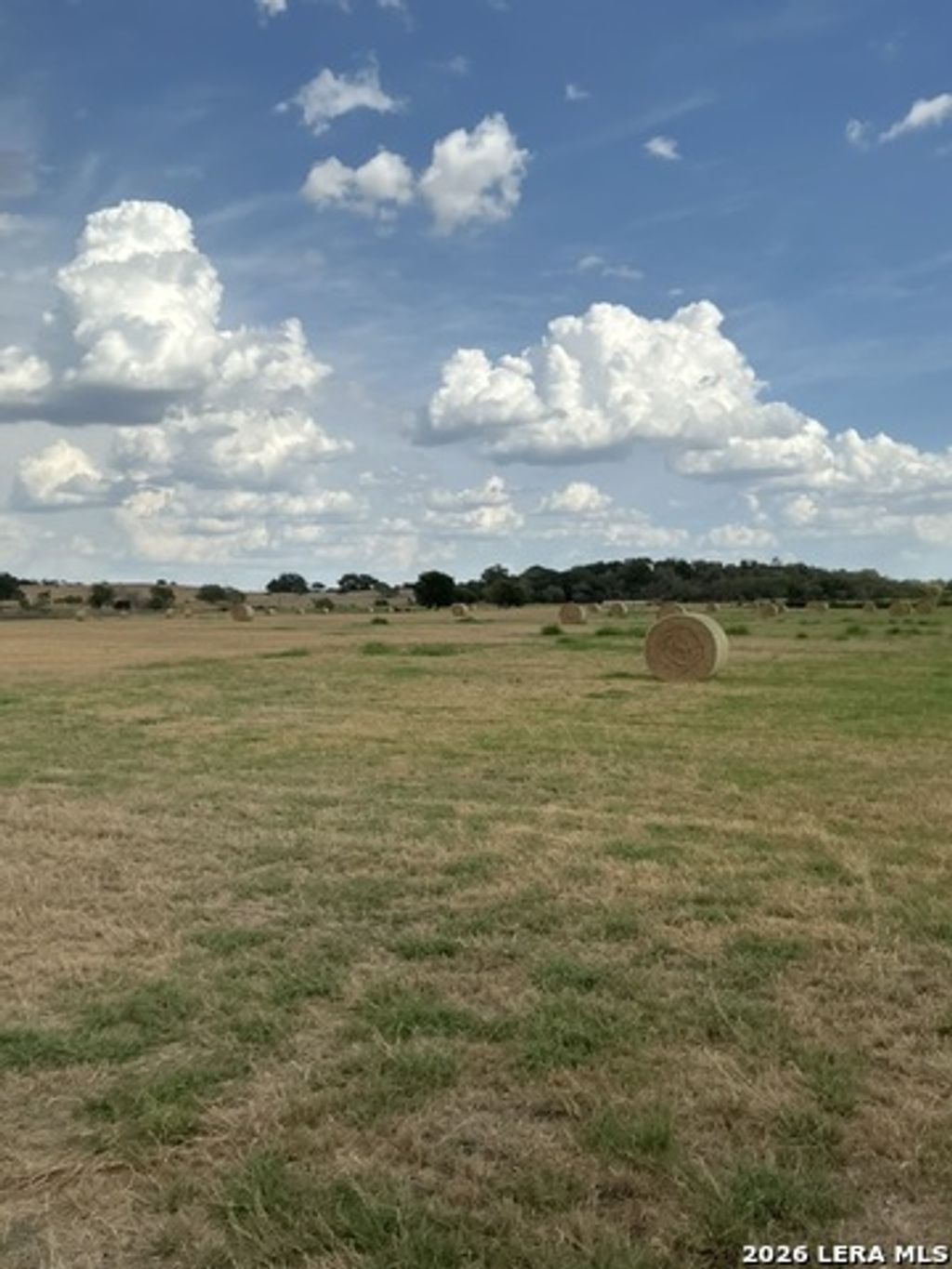 12510 Fm 775, La Vernia