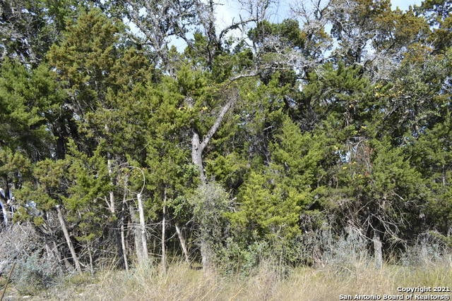 Lot 304 Whartons Dock, Bandera