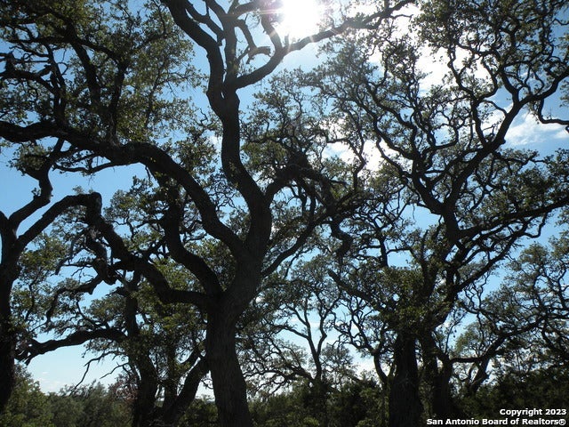 722 Blaze Ridge Blvd, Bulverde