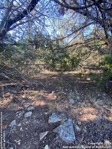 2594 Robin Hood Dr, Canyon Lake