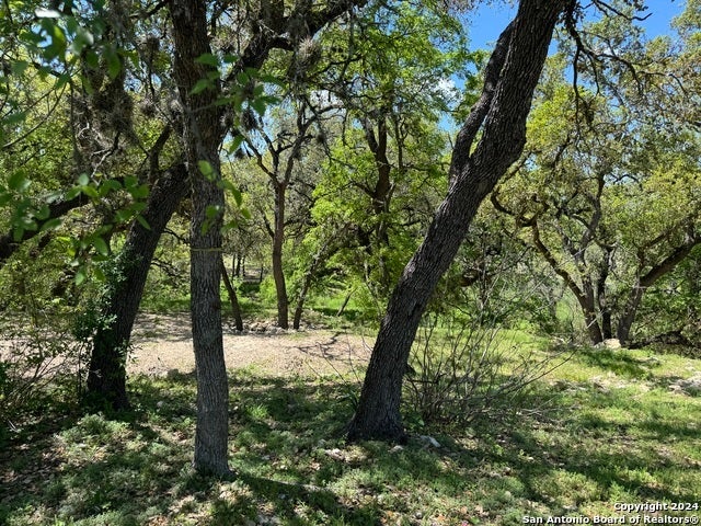 56 Eton Green Cir, San Antonio