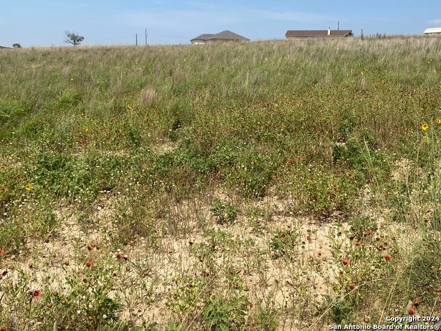 618 Forest Ln, La Vernia