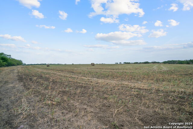 0000 New Sulphur Springs, San Antonio