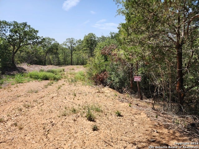 Lot 310 Kalihi Court, Bastrop