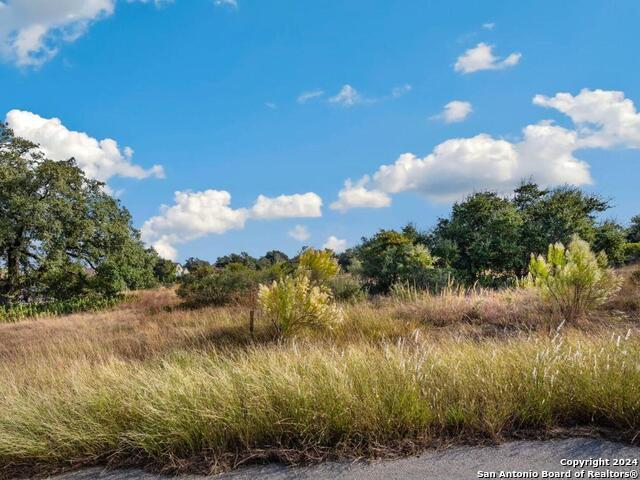 1918 Rothschild, New Braunfels