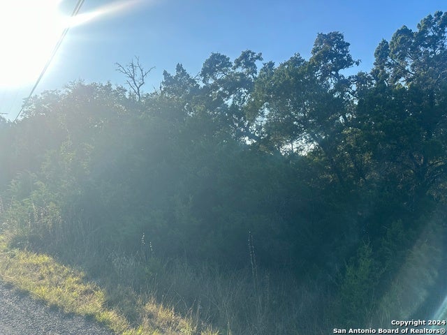 2377 Bobcat Drive, Bulverde